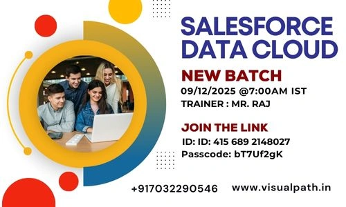 Salesforce Data Cloud Online Training