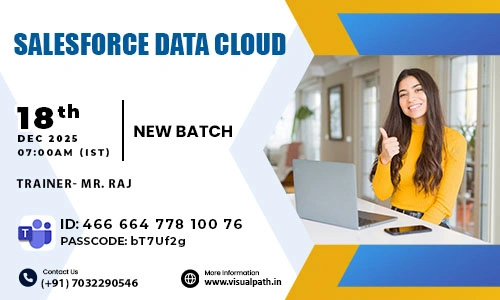 Salesforce Data Cloud Online Training